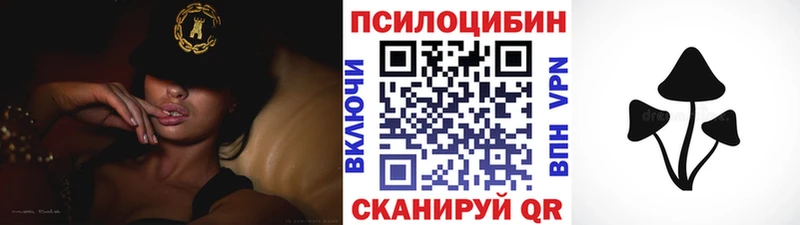 Галлюциногенные грибы Psilocybe  Верхний Уфалей 